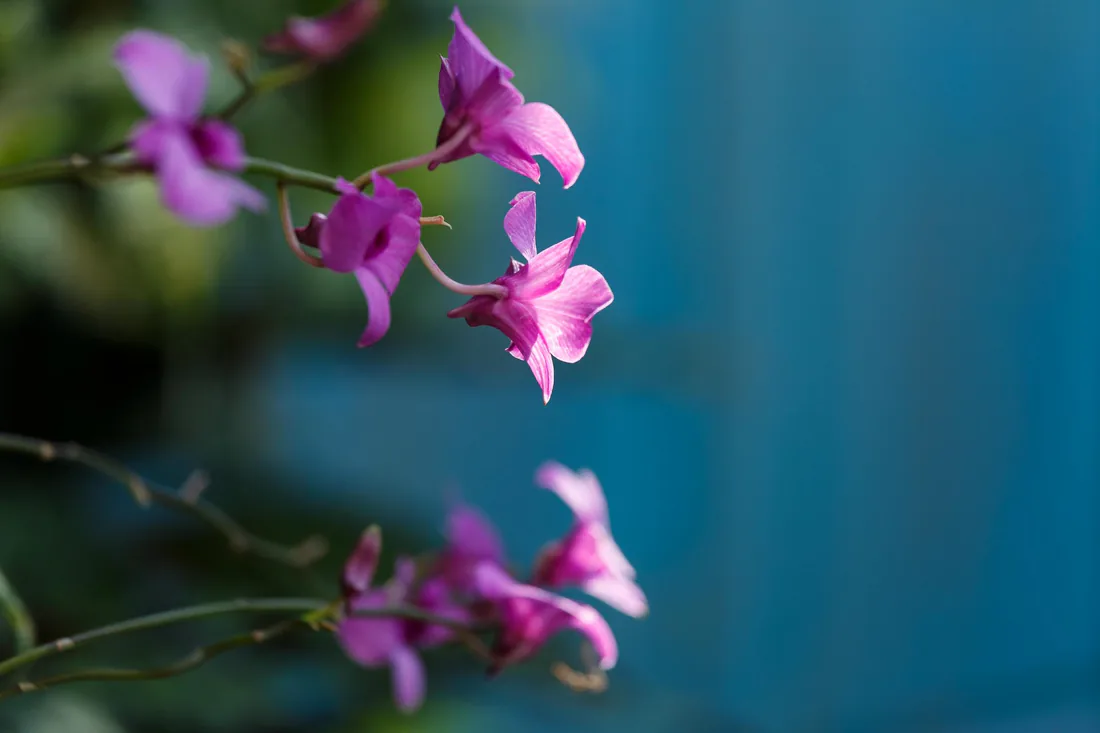 A Nurturing Atmosphere, by Design