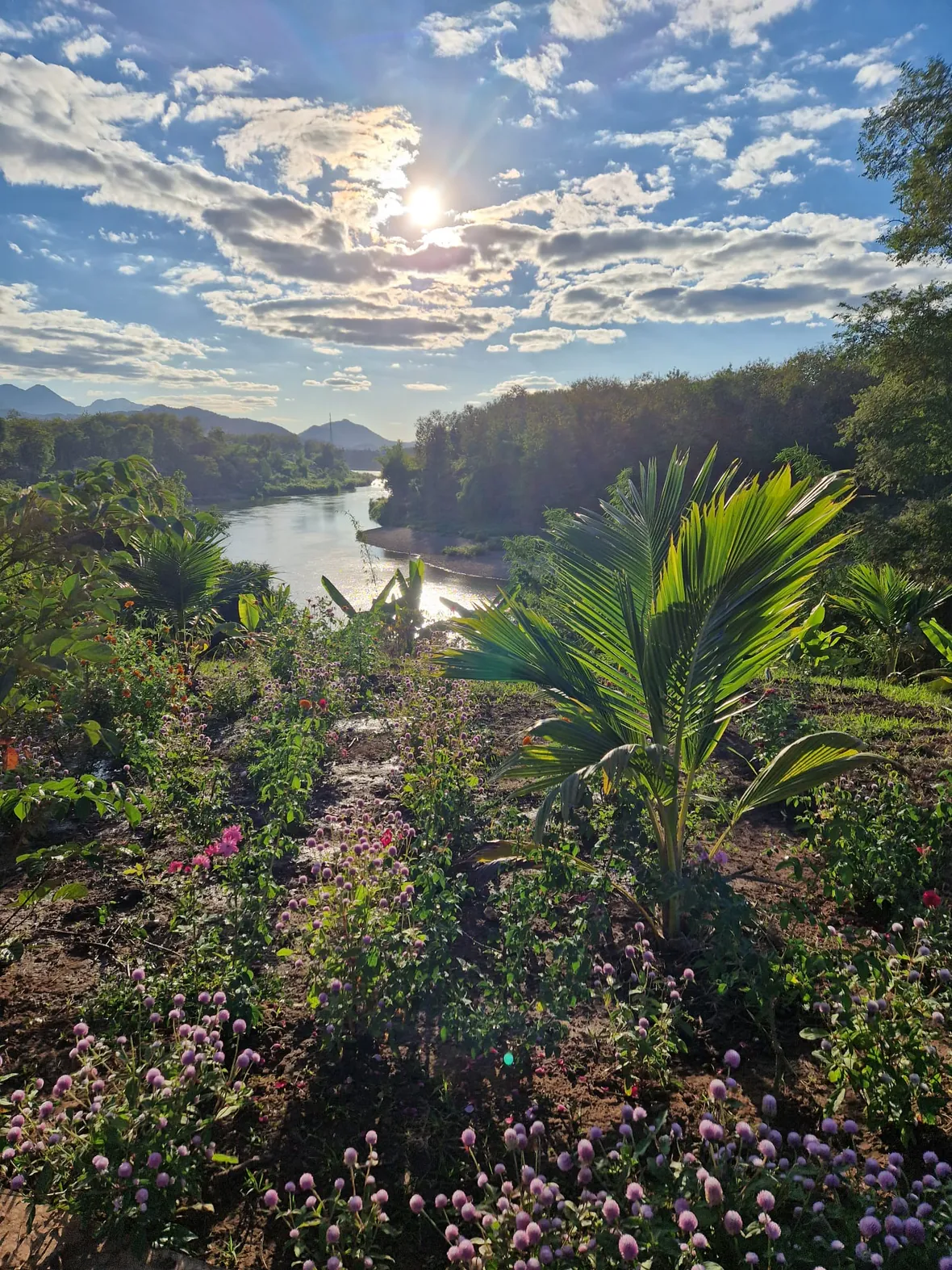 Gardeners tending the organic garden at Manda de Laos